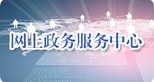 網上政務服務中心